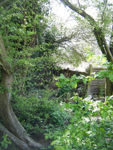dscf5062.jpg